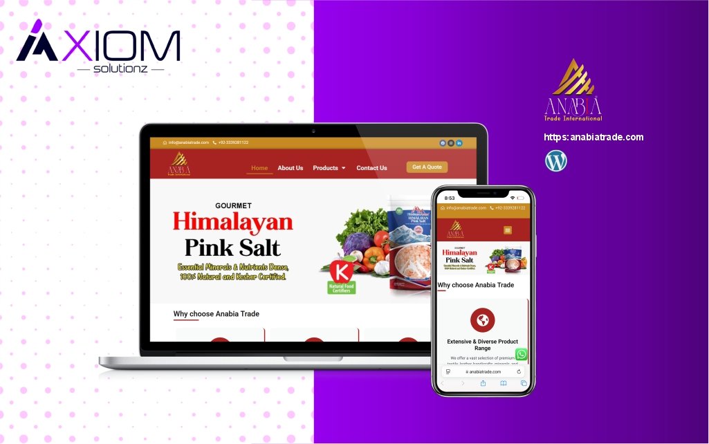 axiom solution portfilio3